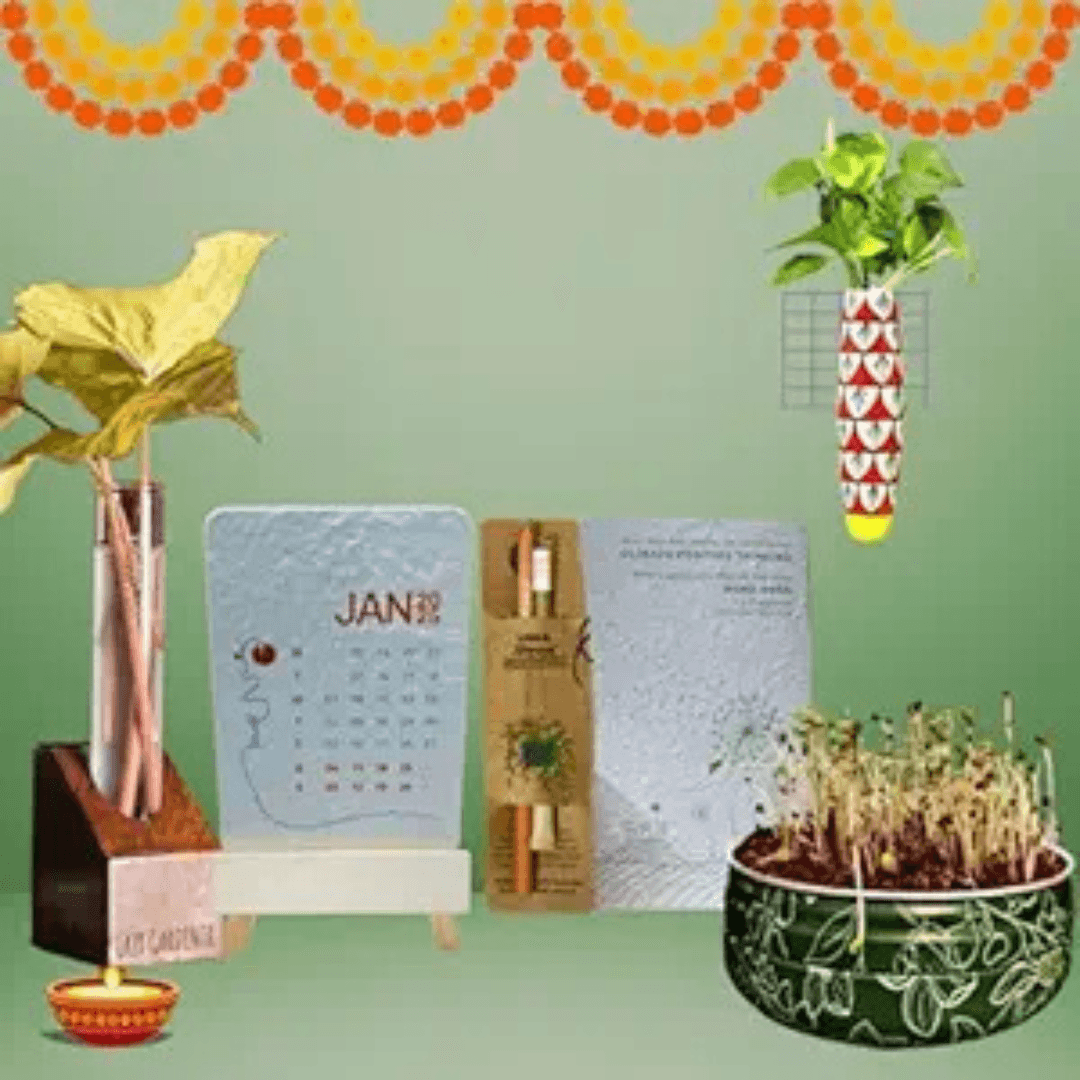 Eco-Friendly Gifts