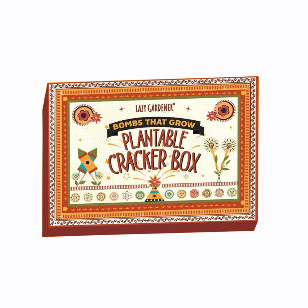 Eco-Friendly Gifts
