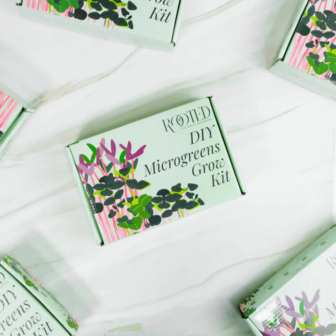 Eco-Friendly Gifts