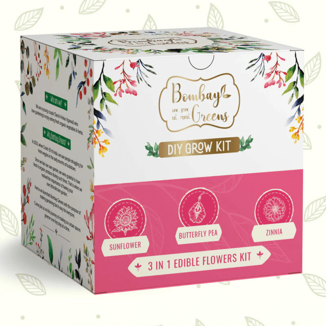 Eco-Friendly Gifts