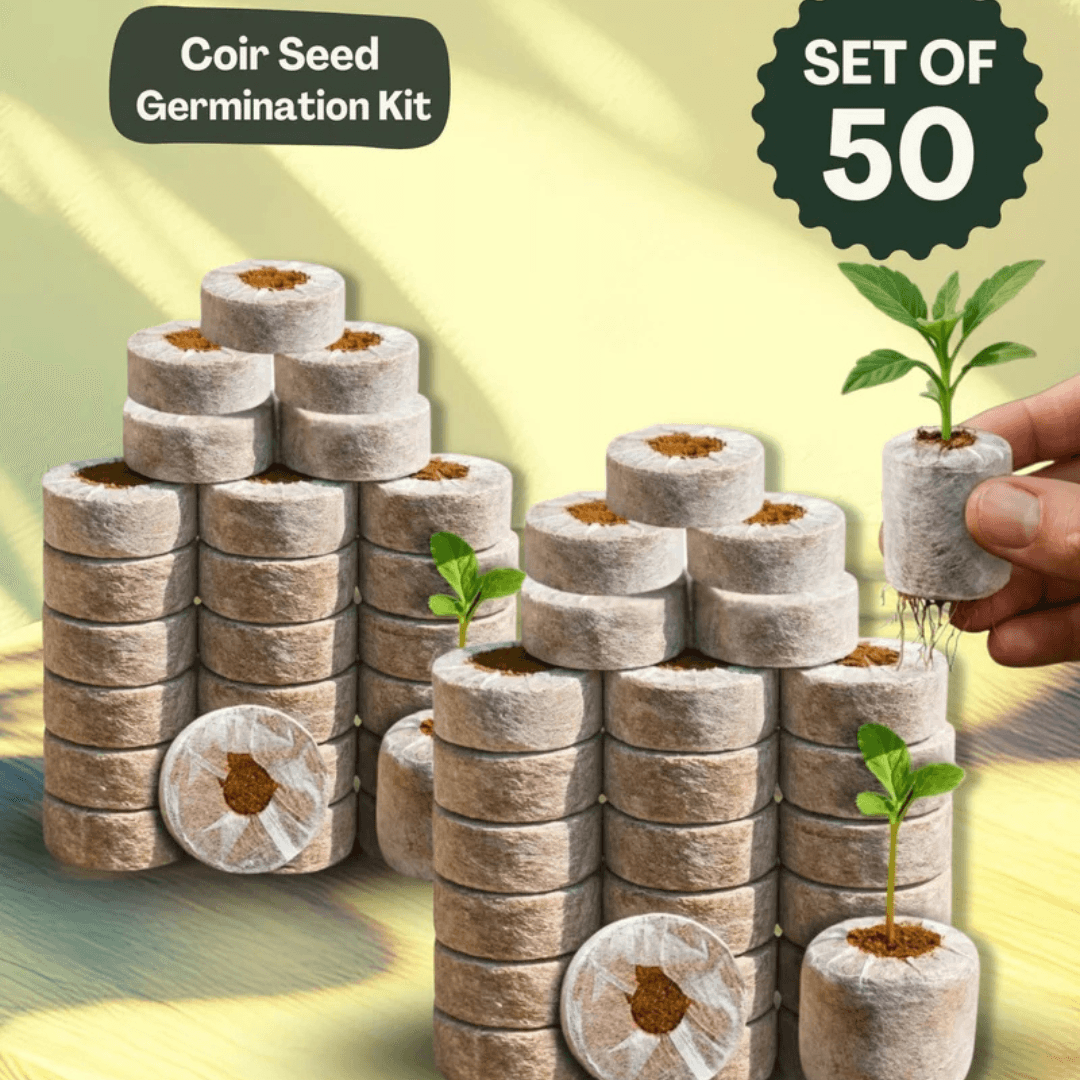 Eco-Friendly Gifts